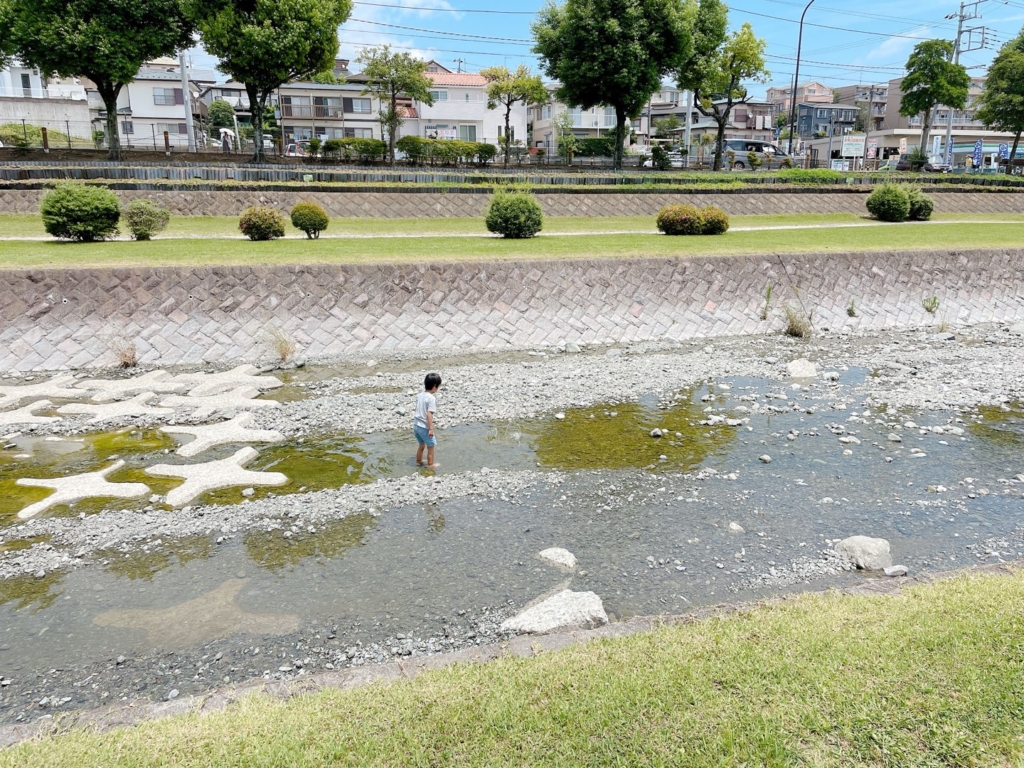 秦野カルチャーパーク