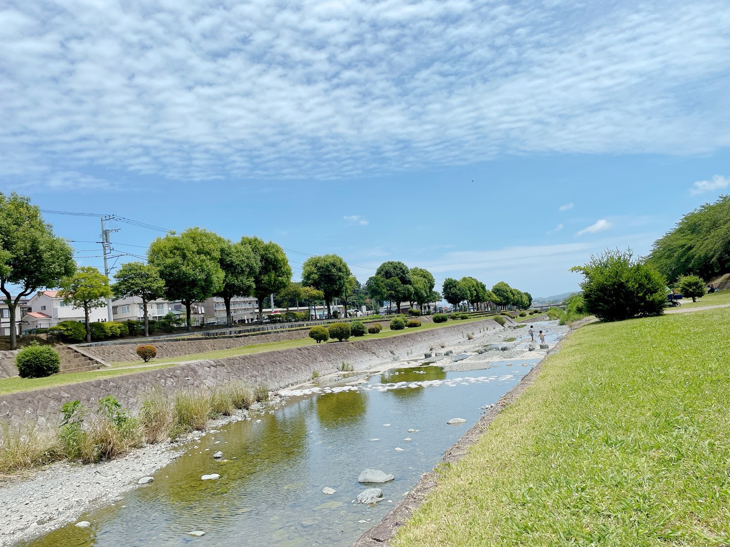 秦野カルチャーパーク